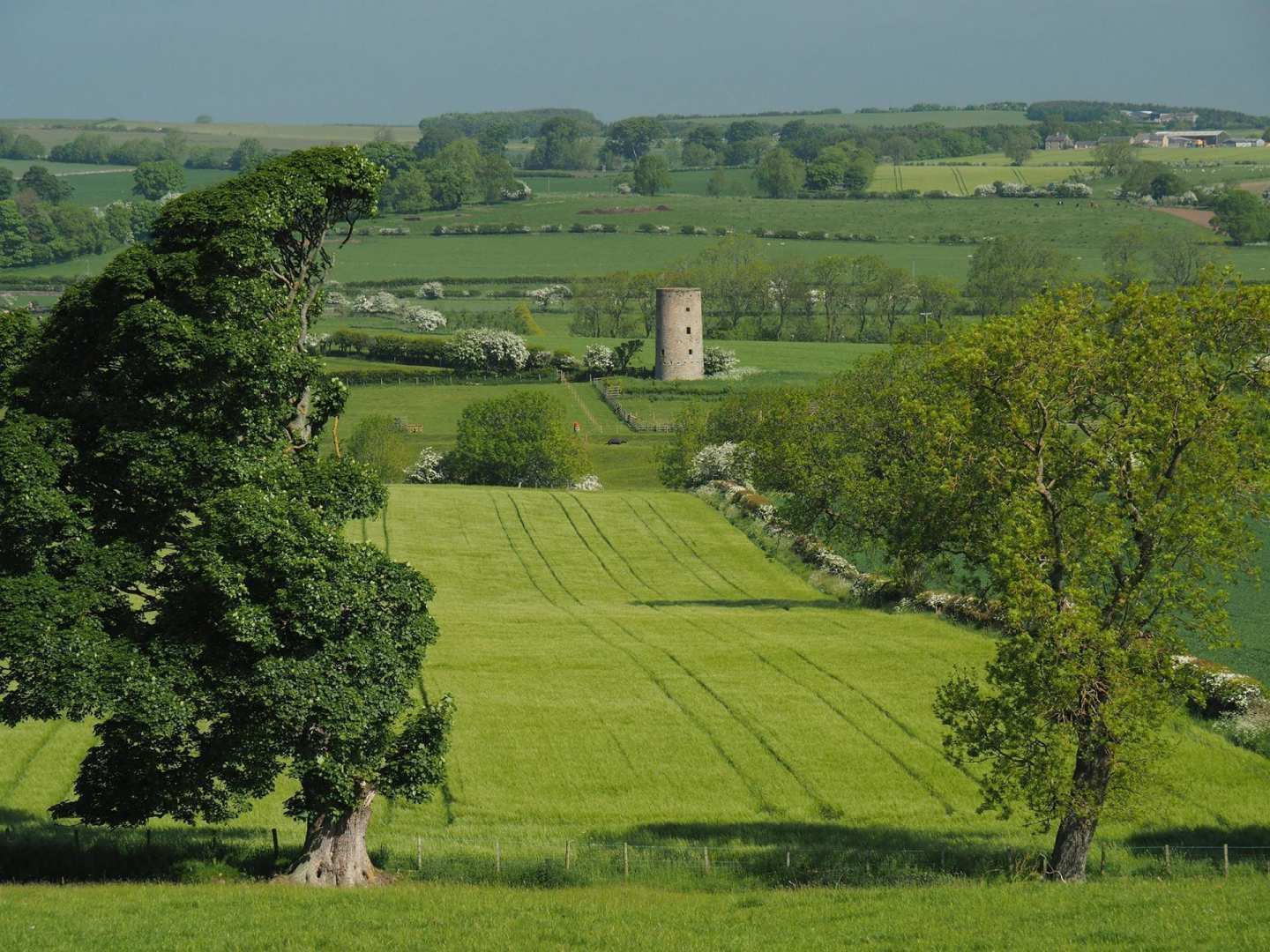 St Oswald's Way - Countryside Section